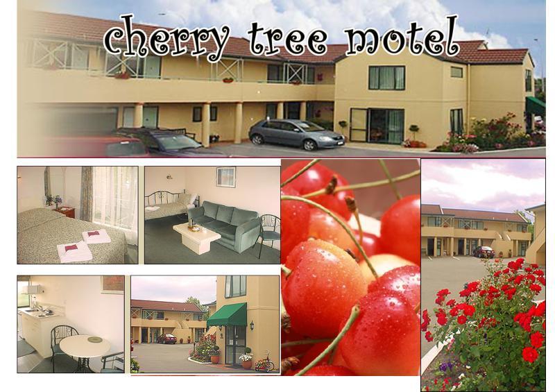 Cherry Tree Lodge Motel Крайстчърч Екстериор снимка